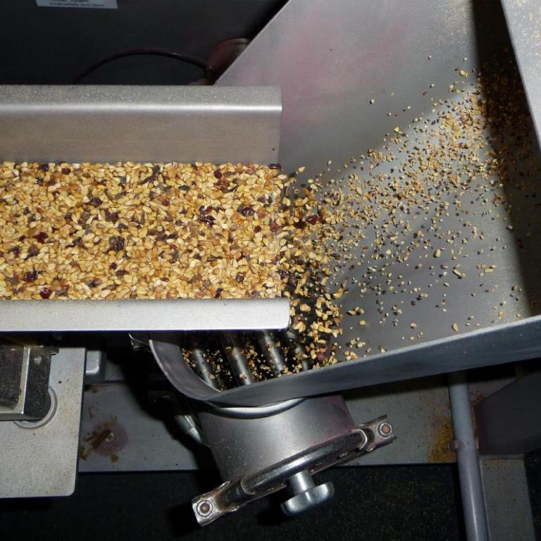 Vibrating Chute feeding rose hip seeds into the mill