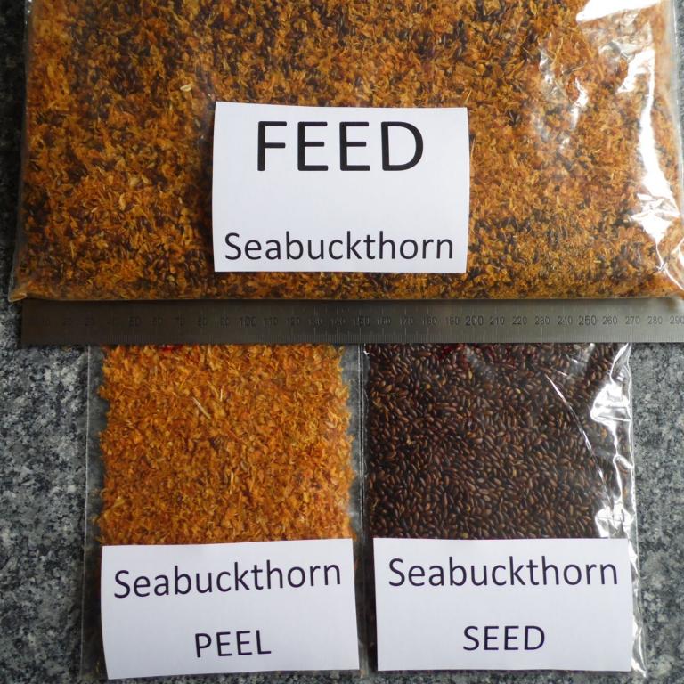 different samples of seabuckthorn grinding by Jehmlich mill