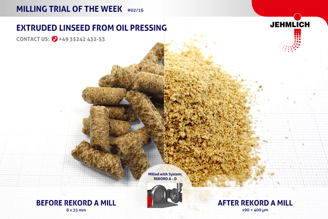 Representation of extruded linseed in its initial state and after grinding